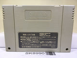 Ranma 1/2 Chougi Ranbu Hen Nintendo Super Famicom SNES Japan - SK8990