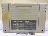 Ultima VI 6 Itsuwari no Yogensha Nintendo Super Famicom SNES Japan - SK8992