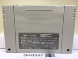 Card Master Rimusaria no Fuuin Nintendo Super Famicom SNES Japan - SK8997