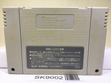 Battle Pinball Nintendo Super Famicom SNES Japan - SK9002