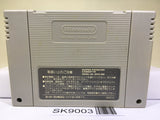 Dai Senryaku Expert Nintendo Super Famicom SNES Japan - SK9003