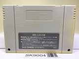 Sanrio Shanghai Nintendo Super Famicom SNES Japan - SK9004