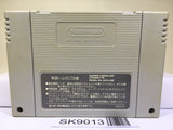 Fatal Fury Special Nintendo Super Famicom SNES Japan - SK9013