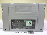 Fatal Fury Special Nintendo Super Famicom SNES Japan - SK9015