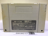 Fire Emblem Seisen no Keifu Nintendo Super Famicom SNES Japan - SK9017