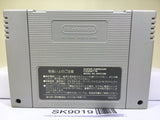 Seiken Densetsu 2 Secret of Mana Nintendo Super Famicom SNES Japan - SK9019