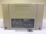 Street Fighter II 2 Nintendo Super Famicom SNES Japan - SK9029