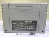 FirePro Joshi AllStarDreamSlam ProWrestling Super Famicom SNES Japan - SK9039