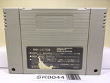 F1 Grand Prix Racing Nintendo Super Famicom SNES Japan - SK9044