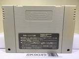 Ace o Nerae! Aim for the Ace! Tennis Nintendo Super Famicom SNES Japan - SK9049