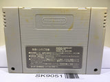 Dragon Ball Z Super Saiya Densetsu Nintendo Super Famicom SNES Japan - SK9051