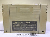 Dragon Ball Z Super Butouden 2 Nintendo Super Famicom SNES Japan - SK9054