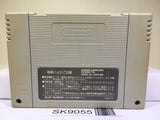 Dragon Ball Z Super Butouden Nintendo Super Famicom SNES Japan - SK9055