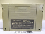 Dragon Ball Z Super Butouden Nintendo Super Famicom SNES Japan - SK9056