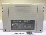 Dragon Ball Z Super Butouden Nintendo Super Famicom SNES Japan - SK9057