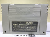 Super Wrestle Angels Pro Wrestling Nintendo Super Famicom SNES Japan - SK9074