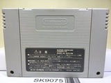 Sutte Hakkun Nintendo Super Famicom SNES Japan - SK9075