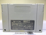 Tiny Toon Adventures Buster Busts Loose Super Famicom SNES Japan - SK9079