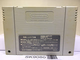 Tiny Toon Adventures Buster Busts Loose Super Famicom SNES Japan - SK9080