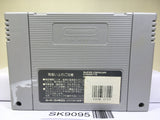 Super Donkey Kong Country 2 Nintendo Super Famicom SNES Japan - SK9095
