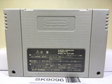 Super Donkey Kong Country 2 Nintendo Super Famicom SNES Japan - SK9096