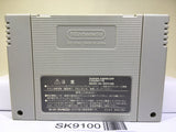 Super Donkey Kong Country 3 Nintendo Super Famicom SNES Japan - SK9100