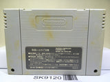 Yoshi no Road Hunting Yoshi's Safari Nintendo Super Famicom SNES Japan - SK9120