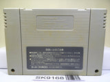 Hyper Zone Nintendo Super Famicom SNES Japan - SK9168