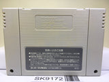 Super Wagyan Land Nintendo Super Famicom SNES Japan - SK9172