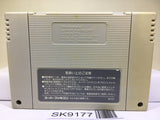 Exhaust Heat F1 ROC Race of Champions Nintendo Super Famicom SNES Japan - SK9177