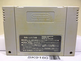 Wild Trax Stunt Race FX Nintendo Super Famicom SNES Japan - SK9180