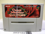 Card Master Rimusaria no Fuuin Nintendo Super Famicom SNES Japan - SK9184