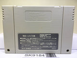 Card Master Rimusaria no Fuuin Nintendo Super Famicom SNES Japan - SK9184
