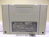 Ranma 1/2 Bakuretsu Rantou Hen Nintendo Super Famicom SNES Japan - SK9190