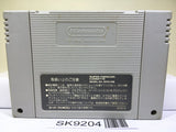 Chou Makaimura Ghouls 'n Ghosts Nintendo Super Famicom SNES Japan - SK9204