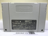 Disney's Beauty and the Beast Nintendo Super Famicom SNES Japan - SK9215