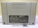 Pro Mahjong Kiwame Nintendo Super Famicom SNES Japan - SK9217