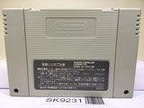 Super Donkey Kong Country Nintendo Super Famicom SNES Japan - SK9231
