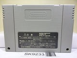 Super Donkey Kong Country 2 Nintendo Super Famicom SNES Japan - SK9233