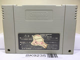 Super Donkey Kong Country 3 Nintendo Super Famicom SNES Japan - SK9235