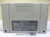 Super Mario World Nintendo Super Famicom SNES Japan - SK9238