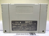 Kirby Super Deluxe Nintendo Super Famicom SNES Japan - SK9259