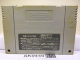 Star Fox Nintendo Super Famicom SNES Japan - SK9449