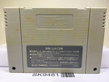 Dragon Slayer Eiyuu Densetsu Nintendo Super Famicom SNES Japan - SK9481