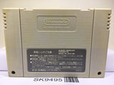 Final Fantasy 5 V Nintendo Super Famicom SNES Japan - SK9495