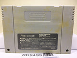 Dragon Ball Z Super Butouden Nintendo Super Famicom SNES Japan - SK9499