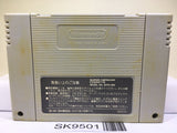 Dragon Ball Z Super Saiya Densetsu Nintendo Super Famicom SNES Japan - SK9501