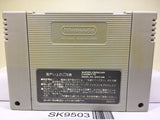 Dragon Ball Z Super Saiya Densetsu Nintendo Super Famicom SNES Japan - SK9503