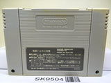 Dragon Ball Z Super Butouden 2 Nintendo Super Famicom SNES Japan - SK9504