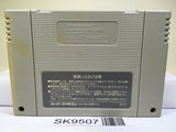 Dragon Quest V 5 Nintendo Super Famicom SNES Japan - SK9507